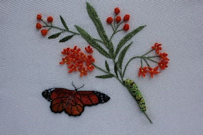 Monarch Butterfly 5636