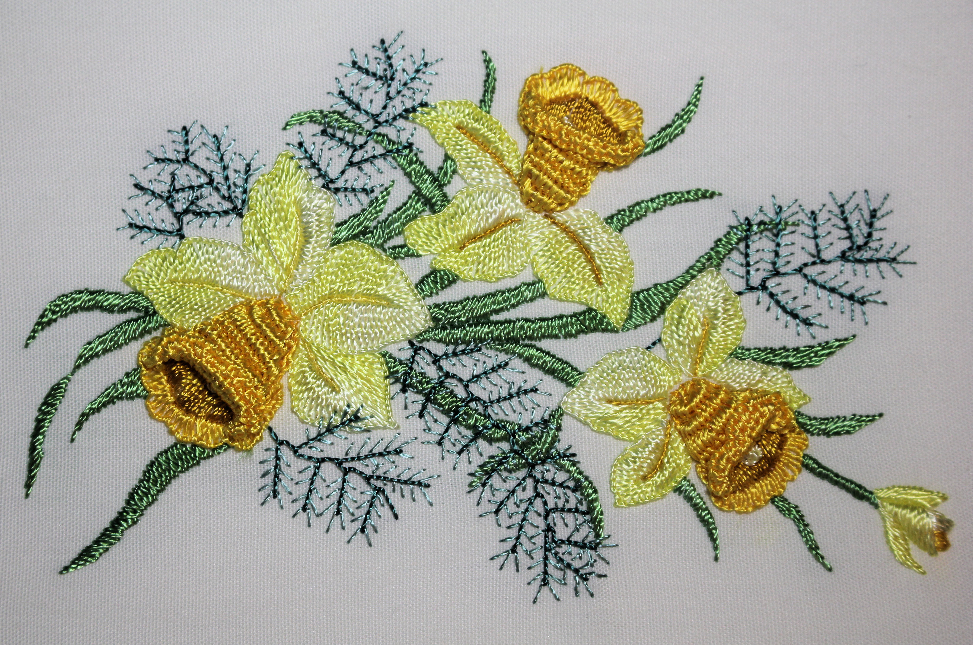 Daffodils pic